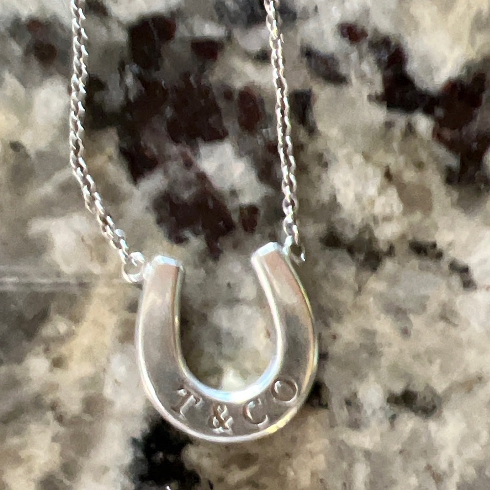 Classic Tiffany’s horseshoe necklace
